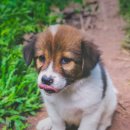 분당동물병원 이미지