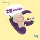 더미즈병원 | 기록｜분만병원 변경 후기 &amp; 더미즈병원 입체초음파 + A형간염 접종 및 무료 백일해 예방접종 신청후기