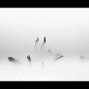 희나리 - 삼척시 호산중앙로 5-15 | 희나리
