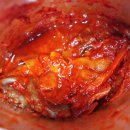 신방통통 낙지 이미지