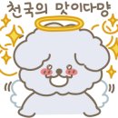 망원동티라미수인천 이미지