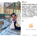 천지민박 | [백두산 자유여행] 백두산 서파 대신에 호랑이랑 협곡만 보고 온 후기(주롱화산협곡, 푸실린협곡)
