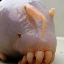 바다피시방 이미지