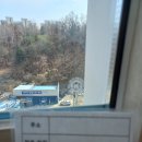 로이필름 네이버블로그