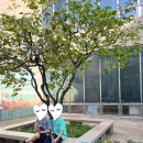 국립현대미술관 | 과천 아이와 함께 가볼만한곳 국립현대미술관 방문 후기