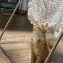 제이제이메디컬 이미지