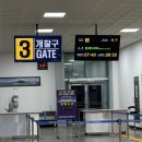 스위트펫 | 목포 제주 퀸제누비아1,2호 펫 스위트룸 비교 후기