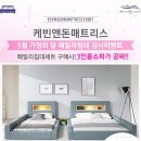 케빈앤돈