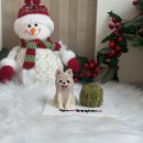 포에버퍼피 이미지