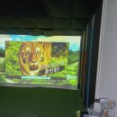 가이드존 스크린 골프 이미지