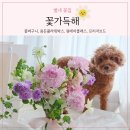 꽃가득해
