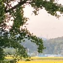 샘머리1단지 이미지