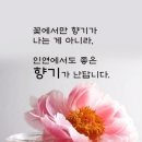 💖 대관령 주막집 여인의 유혹 이미지