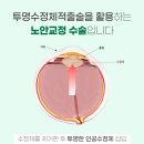 라데팡스안경원 이미지