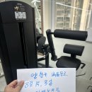 양천구) 라이프휘트니스 카프레이즈 / 백익스 엄청 싸게 내놓습니다 이미지