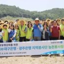 달빛감자 이미지