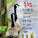 태주