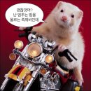 용인 만화카페 [벌툰 파리지앵 김량장점] 후기