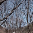 형제약수터이동식화장실 | 양평 용문산 백운봉 평일 산행 후기, 3시간 코스 | 가볍게 다녀온 후기