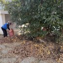 고운어린이공원 이미지