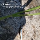 산천어낚시 이미지