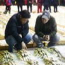 5월 14일, 참돔, 황석어, 밴댕이, 아귀, 간재미, 신안 홍어, 암꽃게, 숫꽃게, 병어, 고등어, 중하새우, 갑오징어, 기타... 이미지