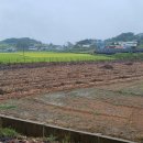 신온리보건진료소 이미지