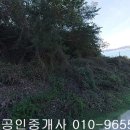 신지면-1 이미지