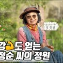 [ SUB ] 약초 집사의 정원 | 정원의 발견 | KBS제주20230428방송 이미지