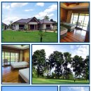 빅토리파크 이미지