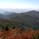 (주)여행담 이미지
