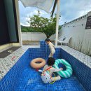 늘경주휴 이미지