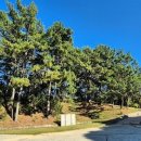 완도 고금도 관왕묘비 | 이순신의 영혼이 머무는 고금도 기행문