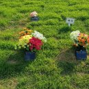 (주)좋은친구들 이미지