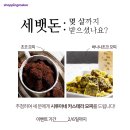발표] [쇼메 게릴라 이벤트] 세뱃돈! 언제까지 받으셨나요? 댓글로 적고 #시루아네 모찌세트 받으세요~!