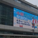 제일선물센타 | 수원펫&amp;캣쇼 후기｜리본 조리랑 오픈런하고 선물도 쇼핑도 가득했던 하루