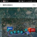 제20회 서귀포 유채꽃 걷기대회 참석(20180324) 이미지