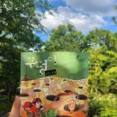 청소년 독서 스피치 이미지