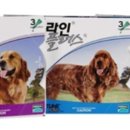 늘픔온누리약국 이미지