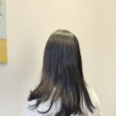 국민빠마 이미지