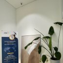 24시 당신의 동물의료센터 이미지