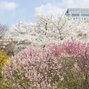 T2카페테리아 이미지