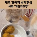 개인의취향 | 제주 강아지 수제간식 세화 개인의취향 제주애견동반여행 추천