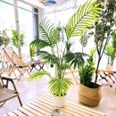 연화카페 이미지