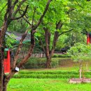 사육신묘 산책로 이미지