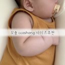 꼬숑.ccoshong 이미지