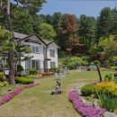 꽃무리 뜸 이미지