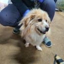 안마산로 이미지