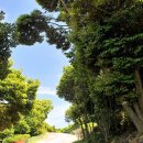 장사도해상공원 이미지