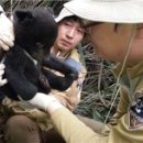 지리산에서 반달가슴곰 새끼 태어났대 ㅋㅋㅋㅋ ㅠㅠ 이미지